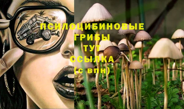 бутират Каменск-Шахтинский