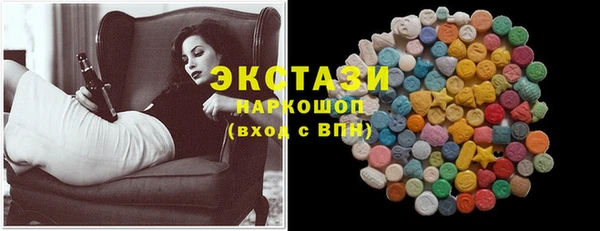 тгк Каменка
