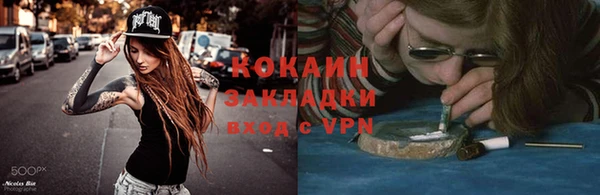 тгк Каменка