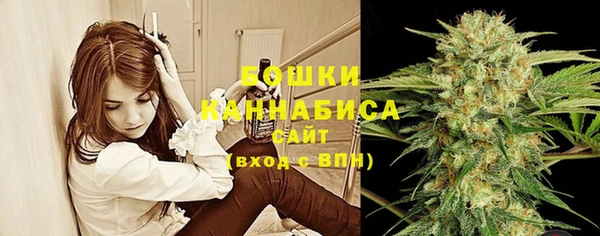 тгк Каменка