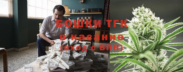 тгк Каменка