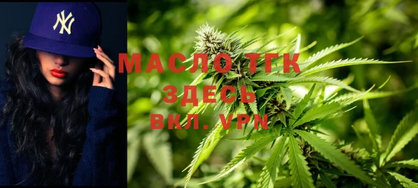 тгк Каменка