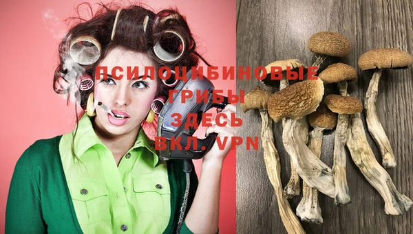 тгк Каменка